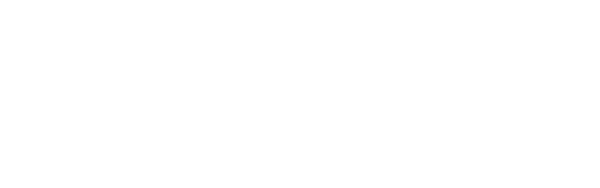 Filiz Hoca Akademi